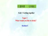 Unit 3 Topic 3 SectionC(课件+练习+音视频)