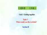 Unit 3 Topic 3 SectionD(课件+练习+音视频)