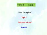 Unit 4 Topic 3 SectionC (课件+练习+音视频)