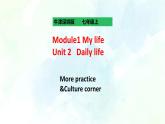 Unit 2 Daily Life More practice& Culture corner （课件+练习+素材）