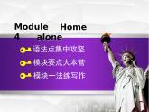 Module 4 Home alone. 模块语法写作课件