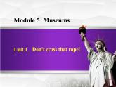 Module 5 Museums. Unit 1 Don’t cross that rope!课件