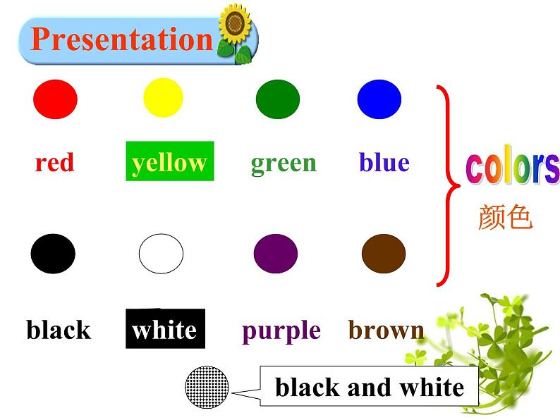 Starter Unit 3 period 1课件PPT第5页