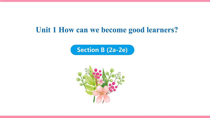 Unit 1 How can we become good learners Section B (2a-2e) （课件+教案） 2021-2022学年人教新目标英语九年级上册01