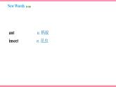 Unit 4 I used to be afraid of the dark Section B (1a-1e) （课件+教案） 2021-2022学年人教新目标英语九年级上册