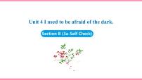 初中英语Unit 4 I used to be afraid of the dark.Section B图文ppt课件