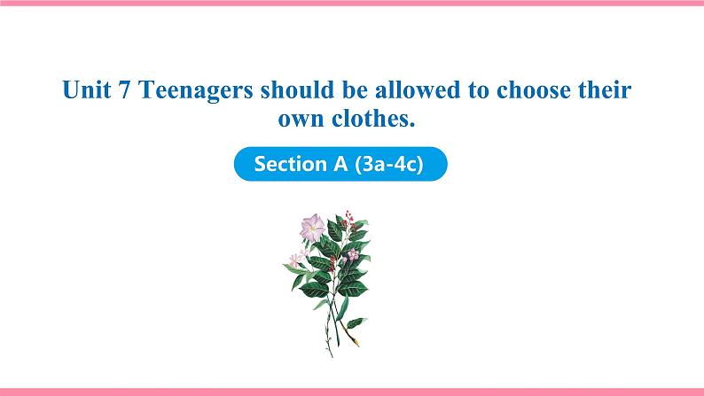 Unit 7 Teenagers should be allowed to choose their own clothes Section A (3a-4c)课件 2021-2022学年人教新目标九年级英语上册第1页