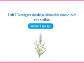 Unit 7 Teenagers should be allowed to choose their own clothes Section B (1a-1e)（课件+教案） 2021-2022学年人教新目标英语九年级上册