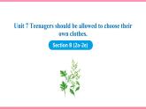 Unit 7 Teenagers should be allowed to choose their own clothes Section B (2a-2e)（课件+教案） 2021-2022学年人教新目标英语九年级上册