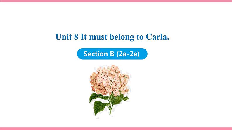 Unit 8 It must belong to Carla Section B (2a-2e)课件 2021-2022学年人教新目标九年级英语上册第1页