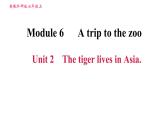 外研版七年级上册英语习题课件 Module6 Unit 2 The tiger lives in Asia