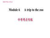 外研版七年级上册英语习题课件 Module6 中考考点专练