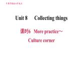 牛津沪教版七年级上册英语习题课件 Unit8 课时6 More practice～Culture corner