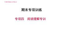 牛津沪教版七年级上册英语习题课件 期末专项训练 专项四　阅读理解专训