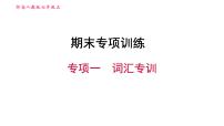 人教版七年级上册英语习题课件 期末专项训练 专项一　词汇专训