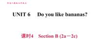 初中人教新目标 (Go for it) 版Unit 6 Do you like bananas?Section B习题ppt课件