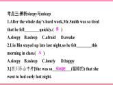 Unit 8　It must belong to Carla Section B (3a-Self Check)（同步课时课件+Word版）2021-2022学年人教新目标英语九年级上册