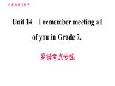 人教版九年级上册英语 Unit14 易错考点专练 习题课件