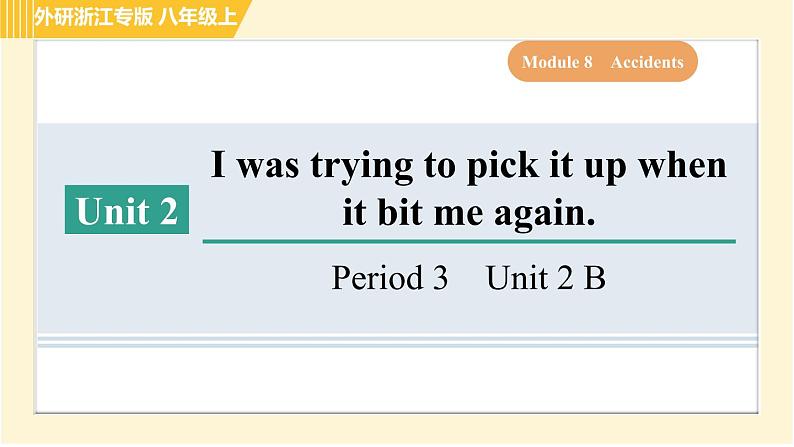 外研版B本八年级上册英语 Module8 习题课件01