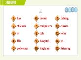 外研版A本七年級(jí)上冊(cè)英語(yǔ) 期末專訓(xùn) 詞匯及語(yǔ)法填空專訓(xùn) 習(xí)題課件