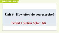 鲁教版 (五四制)七年级上册Unit 6  How often do you exercise？综合与测试习题ppt课件