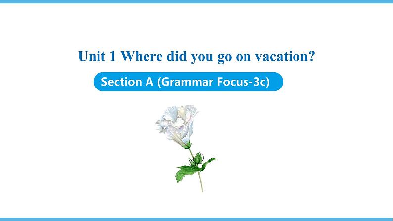 Unit 1　Where did you go on vacation Section A (Grammar Focus-3c)课件2021-2022学年人教新目标英语八年级上册第1页