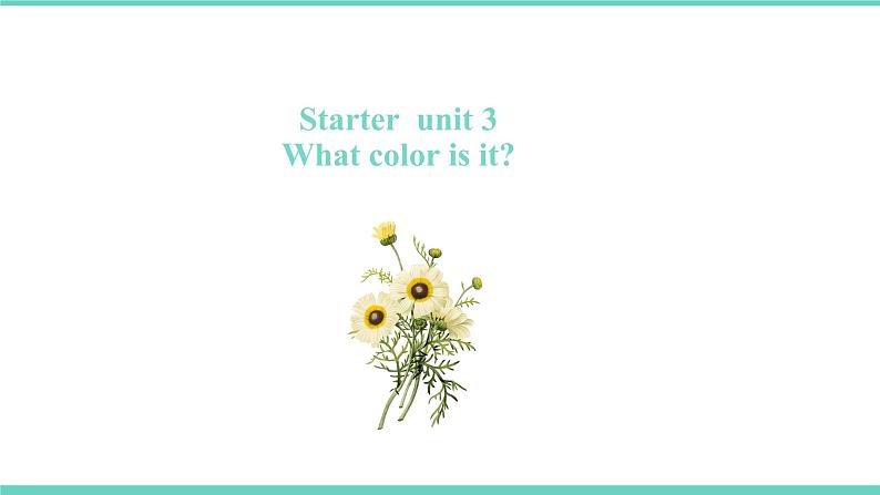 Starter unit3 What 's this in English课件2021-2022学年人教新目标英语七年级上册第1页