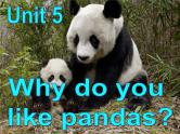 Unit 5 Why  do you like pandas Section A 1课件