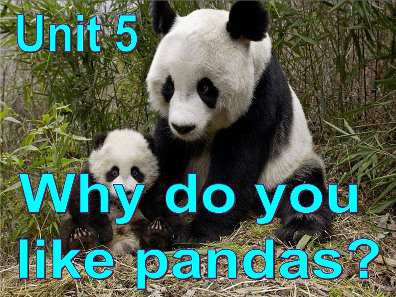 Unit 5 Why  do you like pandas Section A 1课件01