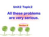 科普仁爱英语九上《Unit 2 Saving the EarthTopic2A》课件PPT