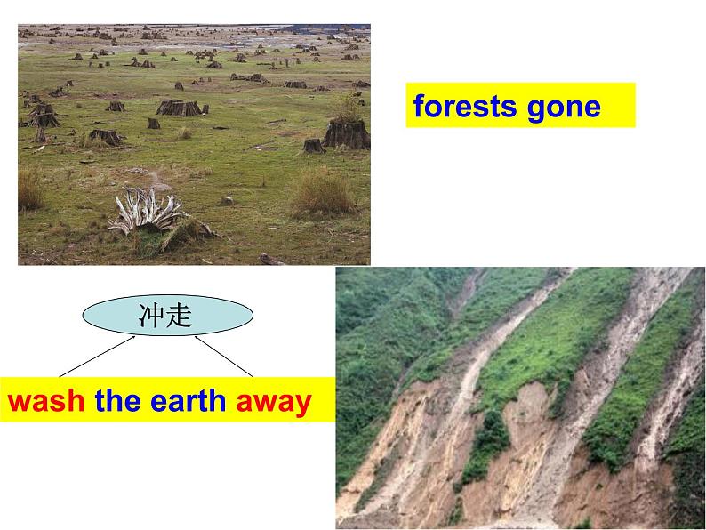 科普仁爱英语九上《Unit 2 Saving the EarthTopic2A》课件PPT07