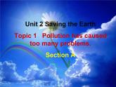 科普仁爱英语九上《Unit 2 Saving the EarthTopic1A》优质课课件PPT