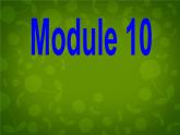 外研版八年级英语下册 Module 10 Unit 3 Language in use课件
