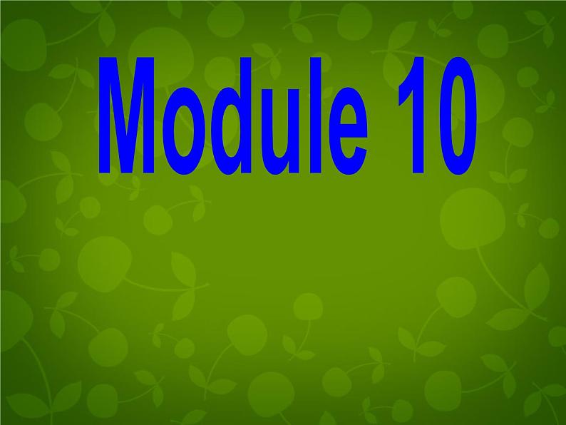 外研版八年级英语下册 Module 10 Unit 3 Language in use课件02