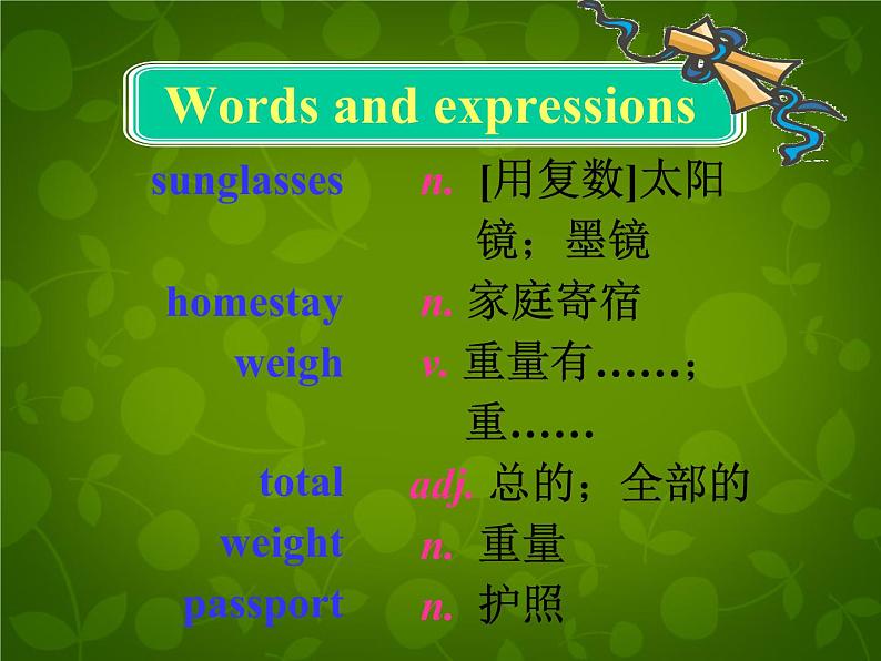 外研版八年级英语下册 Module 7 Unit 1 Please write to me and send me some photos课件07