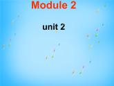 外研版八年级英语下册 Module 2 Experiences Unit 2 They have seen the Pyramids课件 (2)