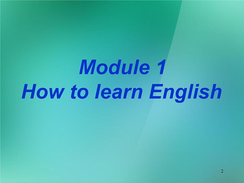 外研版八年级英语上册 Module 1 How to learn English Unit 1 Let's try to speak English as much as possible课件202