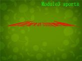 外研版八年级英语上册 Module 3 Unit 2 This year we practise more carefully课件 (2)