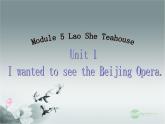 外研版八年级英语上册 Module 5 Lao She Teahouse Unit 1 I wanted to see the Beijing Opera课件