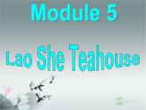 外研版八年级英语上册 Module 5 Lao She Teahouse Unit 1 I wanted to see the Beijing Opera课件4