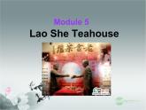 外研版八年级英语上册 Module 5 Lao She Teahouse Unit 1 I wanted to see the Beijing Opera课件3
