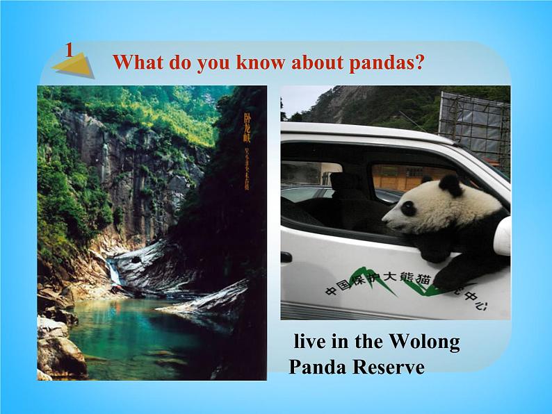 外研版八年级英语上册 Module 6 Unit 2 The WWF is working hard to save them all课件 (1)06