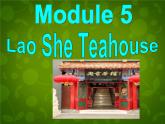 外研版八年级英语上册 Module 5 Unit 1 I wanted to see the Beijing Opera课件 (1)