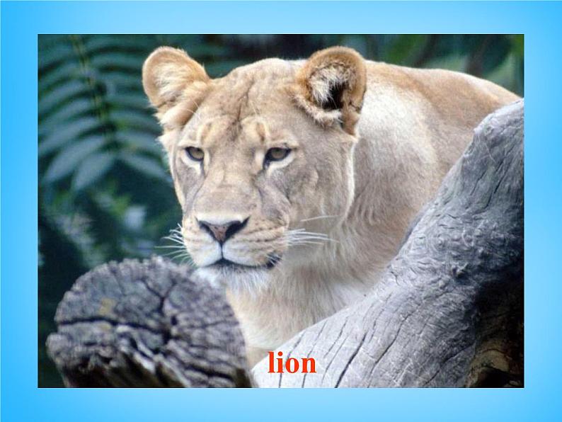 外研版八年级英语上册 Module 6 Unit 1 It allows people to get closer to them课件 (1)第7页