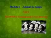 外研版八年级英语上册 Module 6 Unit 2 The WWF is working hard to save them all课件 (2)