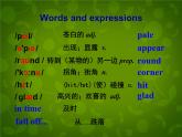 外研版八年级英语上册 Module 8 Unit 1 While the car were changing to red, a car suddenly appeared课件 (1)