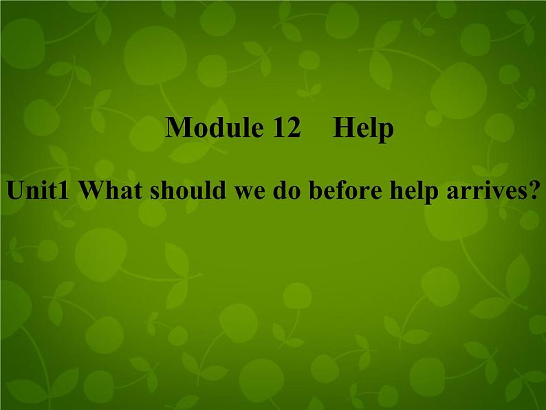 外研版八年级英语上册 Module 12 Unit 1 What should we do before help arrived课件02