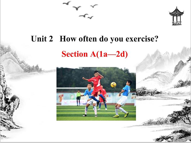 Unit 2  How often do you exercise Section A 课件 2021-2022学年人教版八年级英语上册01