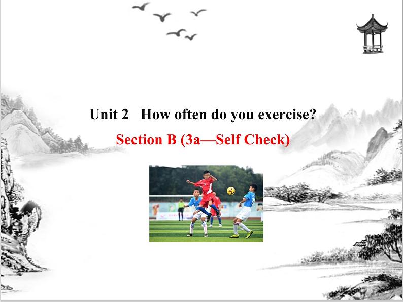 Unit 2  How often do you exercise Section B 课件 2021-2022学年人教版八年级英语上册01