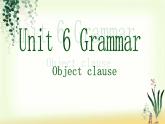 深圳市初中英语九年级级下Unit6 Caring for your health教学课件 grammar